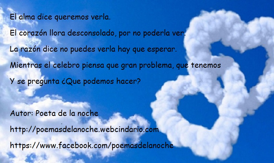 Que puedo hacer