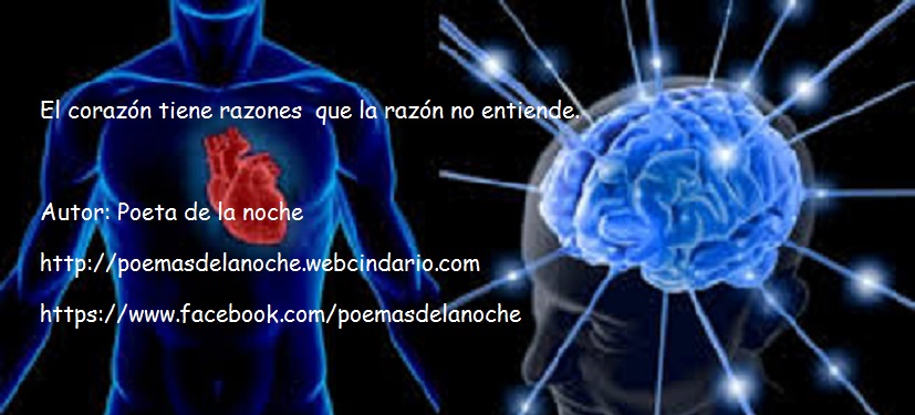 Corazon razon